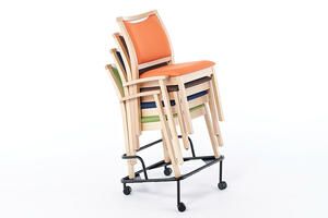 Mit dem Transportwagen lassen sich die Schwerin optimal transportieren